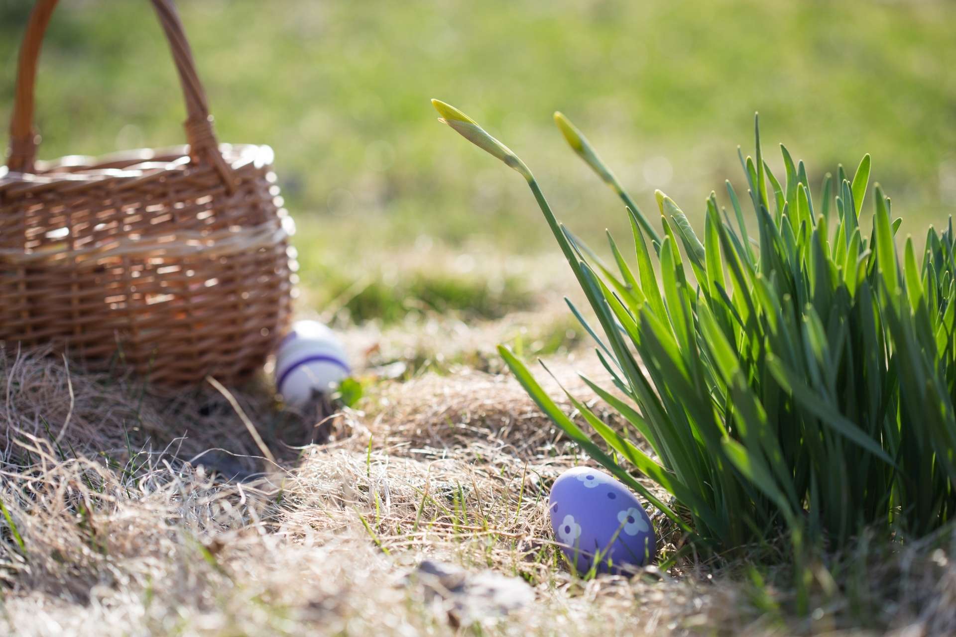 An Easter basket sitting in the grass