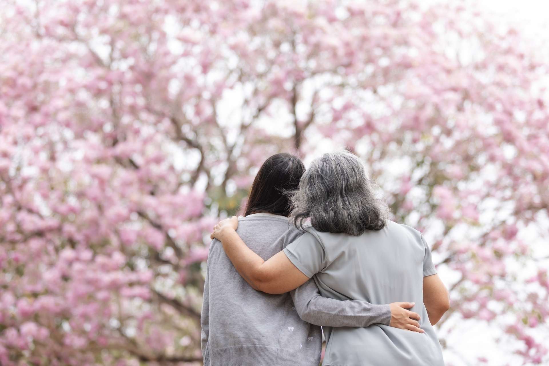 Two women embracing while gazing at a cherry blossom tree
